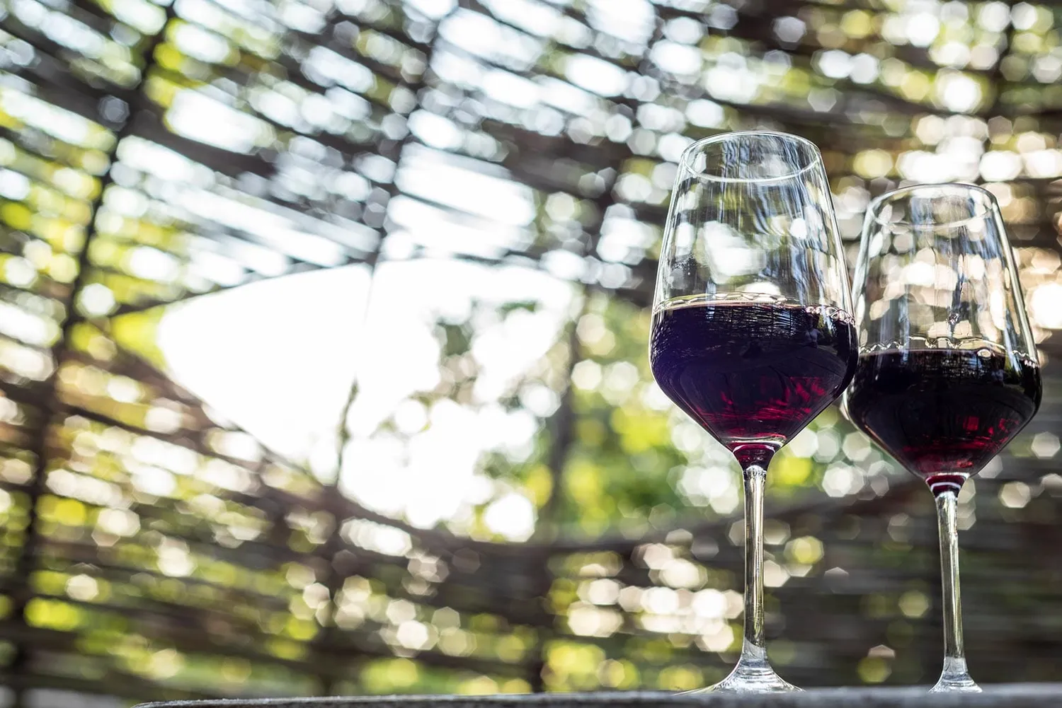 Vinchio Vaglio Barbera Flight degustazione Barbera