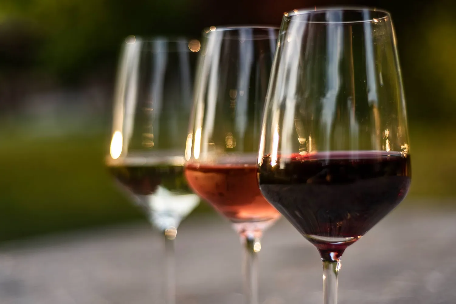 Vinchio Vaglio Indigenous Grapes degustazione vitigni