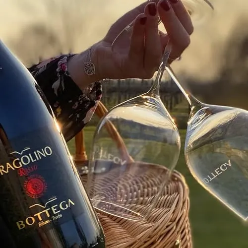 Bottega Fragolino Rosso vino 0,75 L dolce