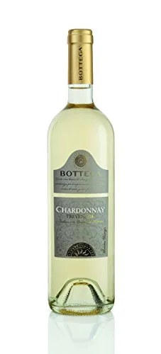 Bottega Chardonnay Trevenezie IGT 750ml fresco