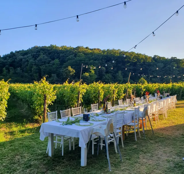 Tenuta La Macchia Cena in Vigna Esperienza serale piatti toscani