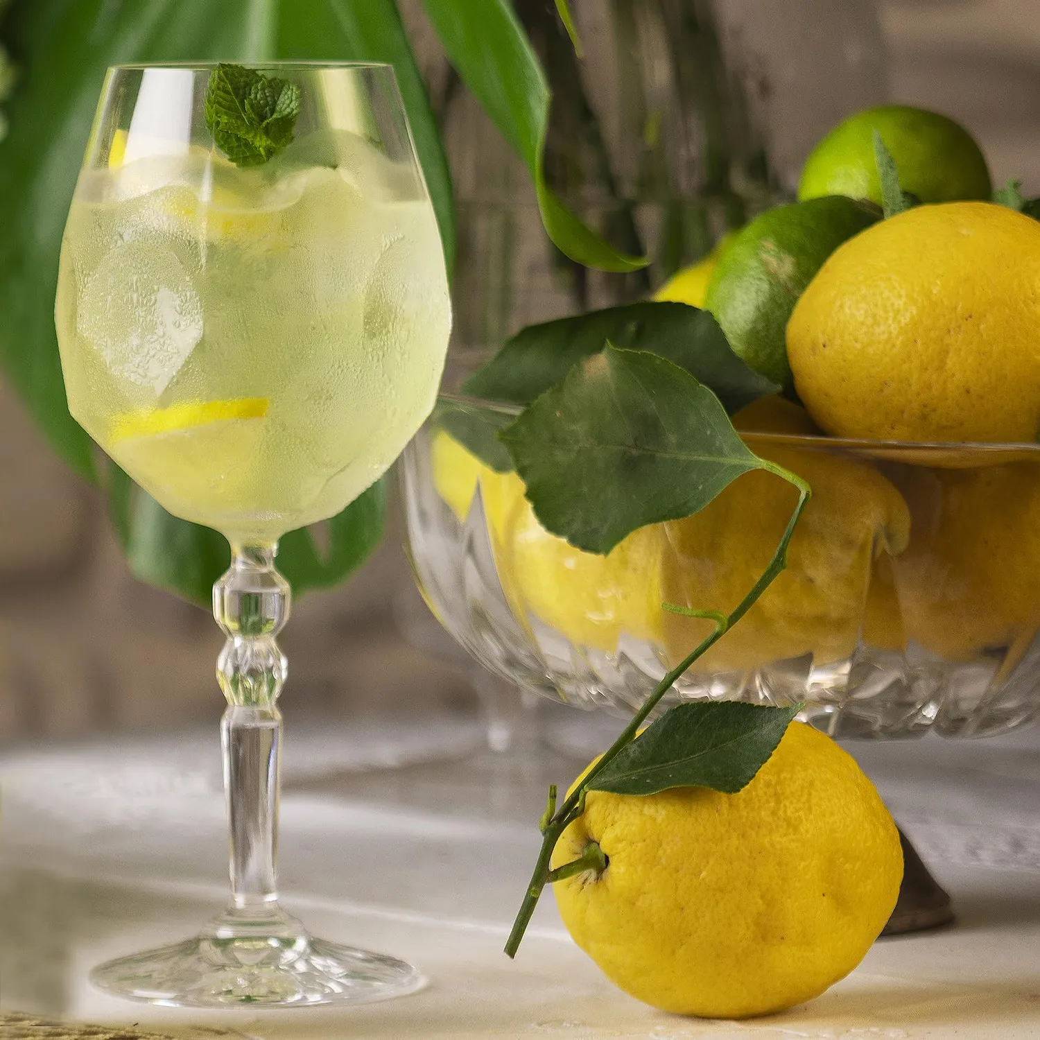 Bottega Lemon Spritz cocktail 200 ml limone e menta