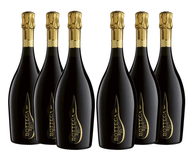 Bottega Millesimato Spumante Brut 6x750 ml fresco