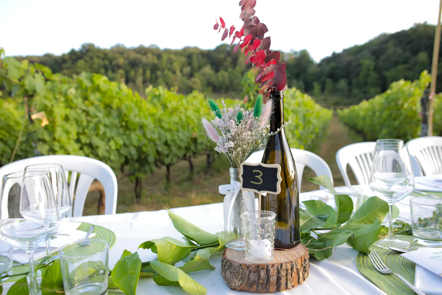 Tenuta La Macchia Di Rosa-ti vesto cena in vigna