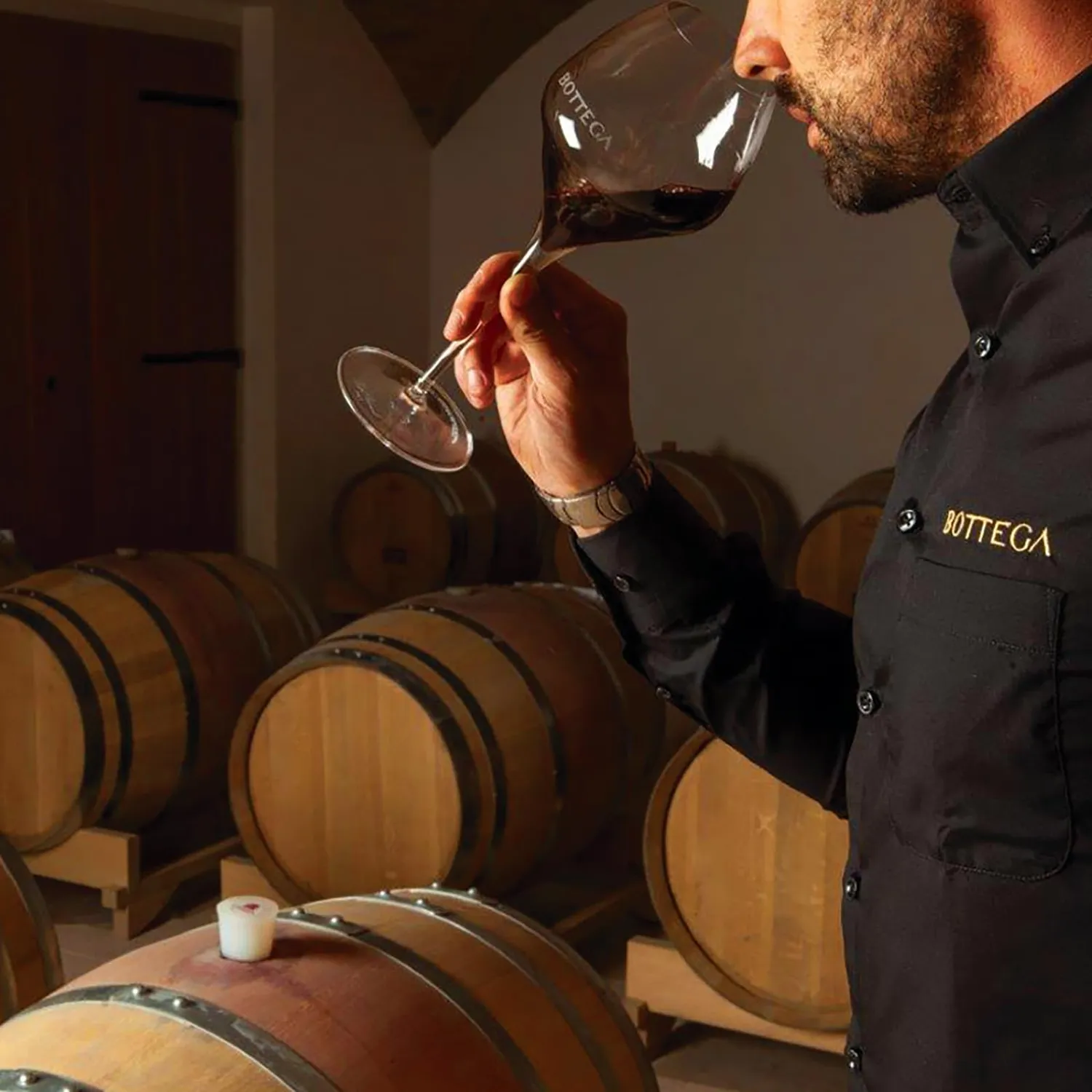 Bottega Venedikà Venezia DOC vino rosso 750 ml Merlot Raboso