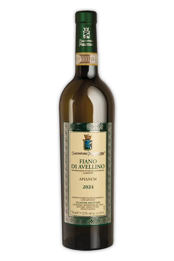 Salvatore Molettieri Fiano di Avellino DOCG vino bianco 75cl nocciola