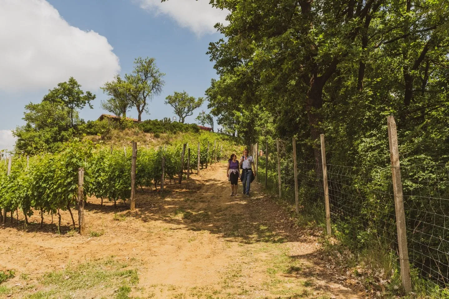 Vinchio Vaglio Picnic al Casotto 2 maggio evento