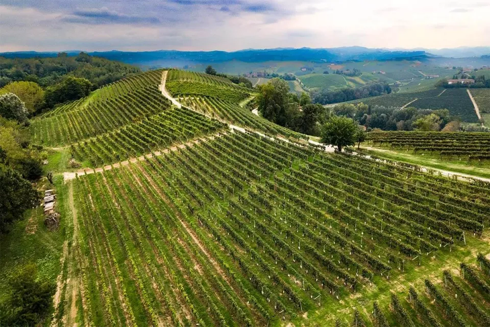 Vinchio Vaglio Timorasso bianco 0,75 l minerale