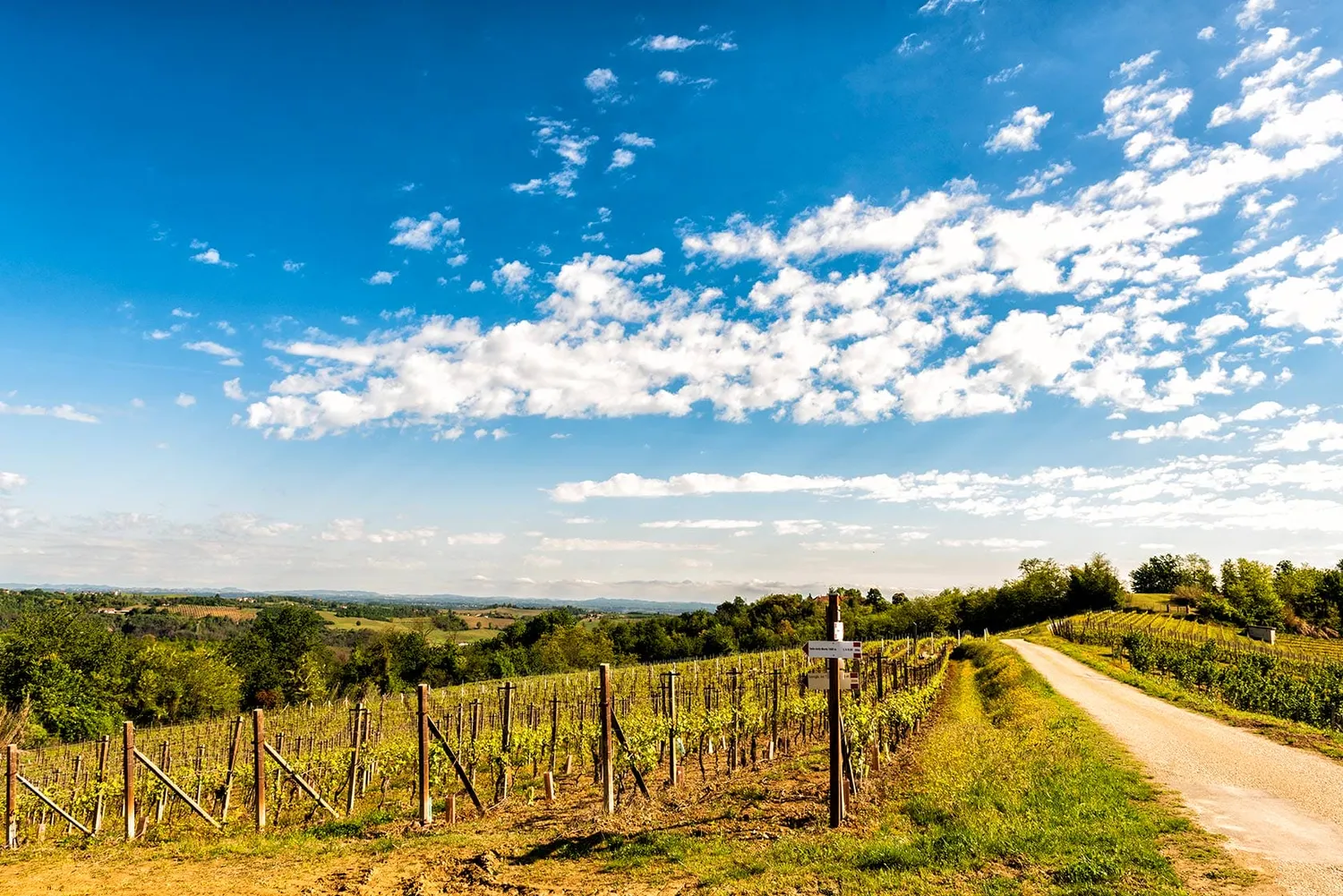 Vinchio Vaglio Cantine Aperte picnic biglietto 30/05/21