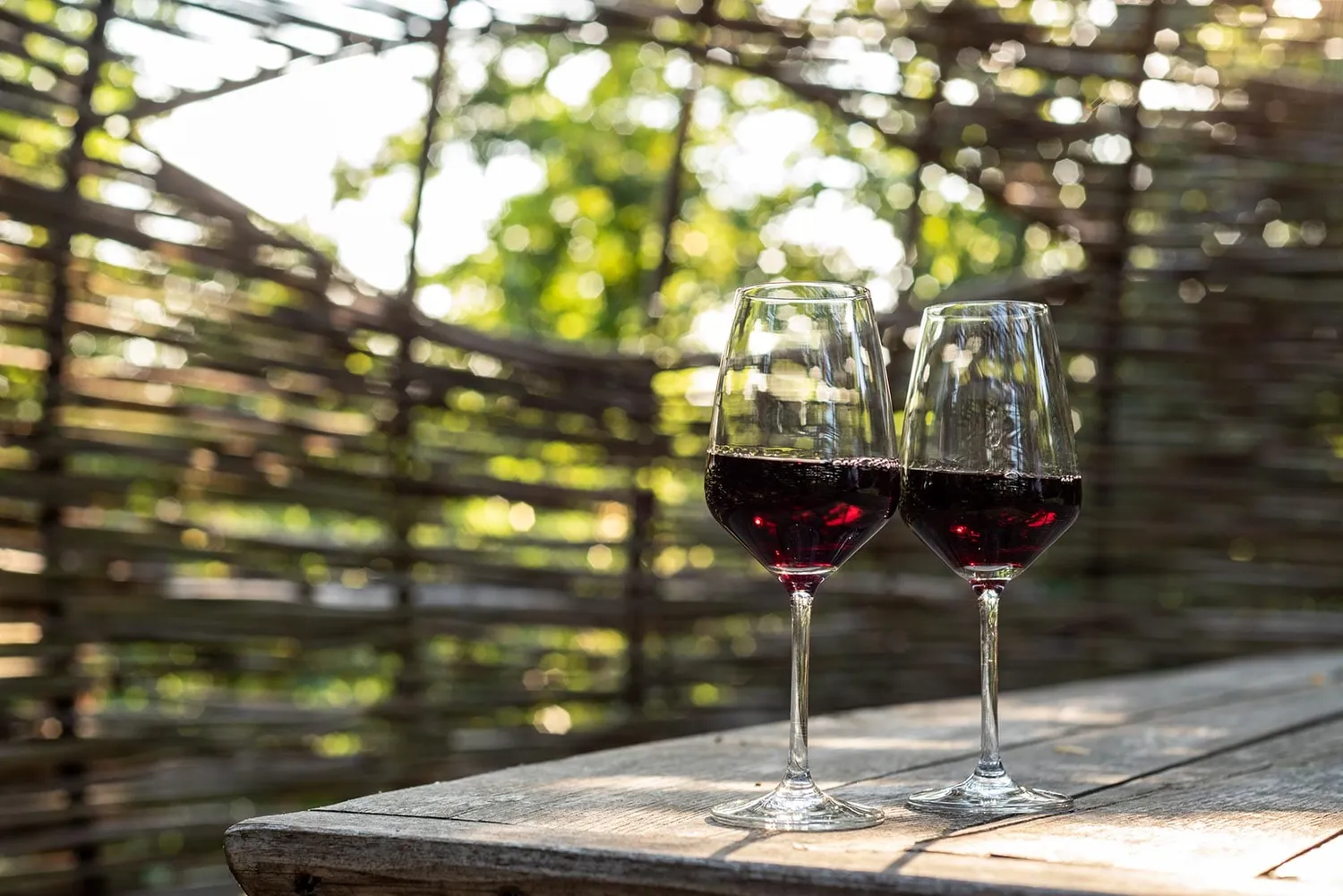 Vinchio Vaglio Experience degustazione in cantina
