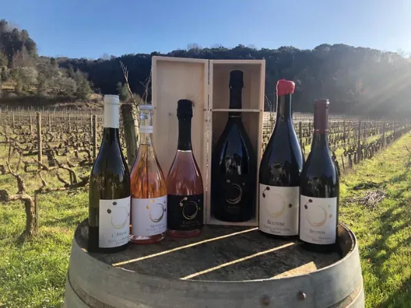 Tenuta La Macchia Degustazione Classic Voucher 1 persona base