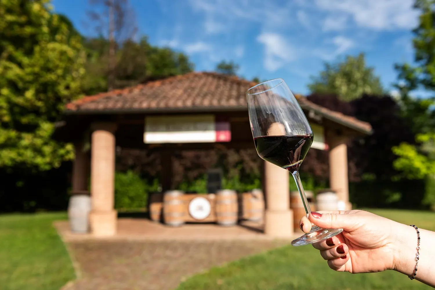 Vinchio Vaglio scoperta cantina degustazione vini evento