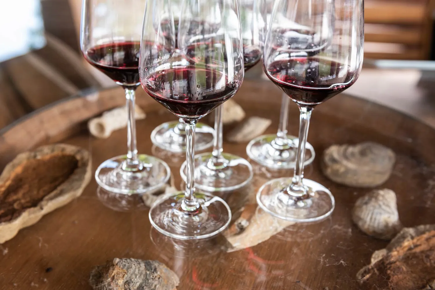 Vinchio Vaglio Experience degustazione in cantina