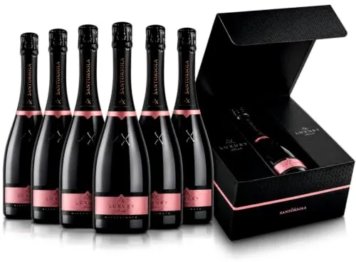 Sant'Orsola LX Prosecco Rose DOC Brut 6x750 ml in box