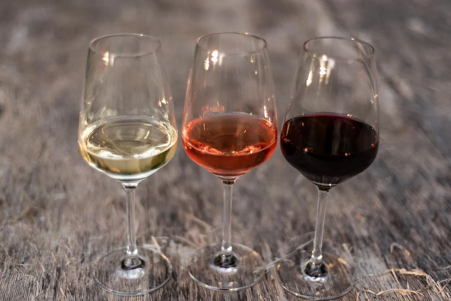 Vinchio Vaglio Experience degustazione in cantina