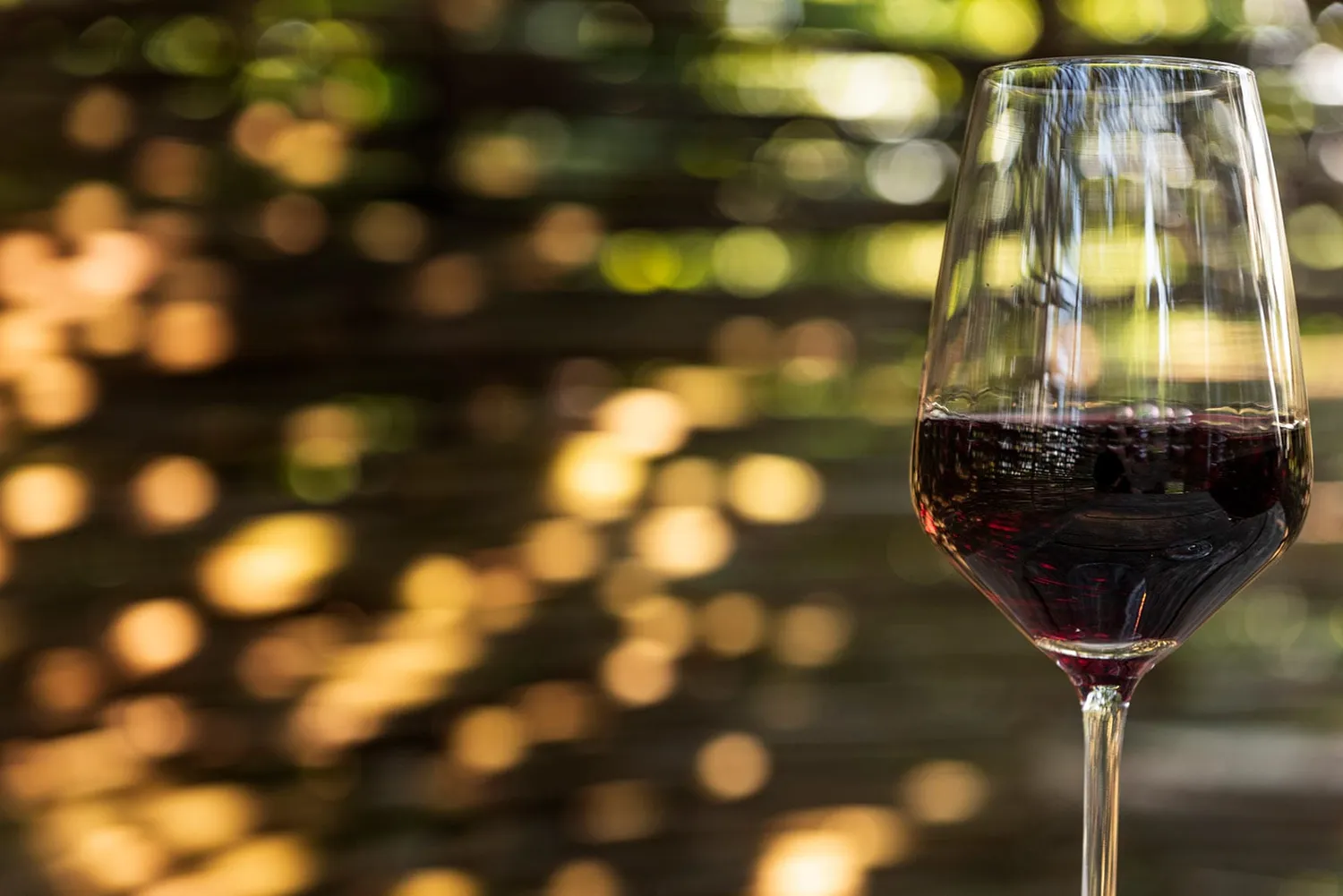Vinchio Vaglio Experience degustazione in cantina