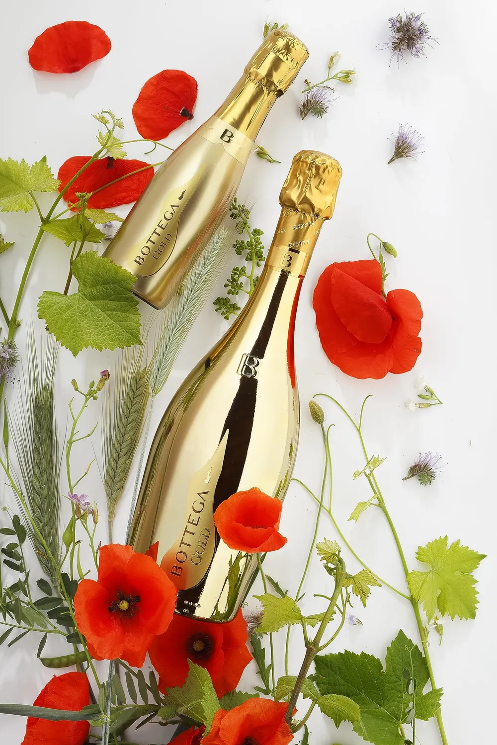 Bottega Gold Prosecco 750ml elegante da aperitivo