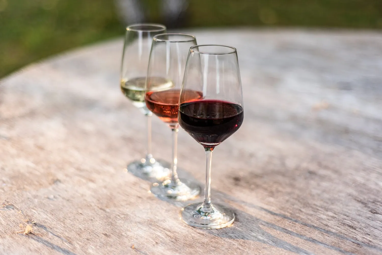 Vinchio Vaglio Indigenous Grapes degustazione vitigni