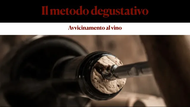 Tenuta La Macchia Il metodo degustativo videocorso degustazione