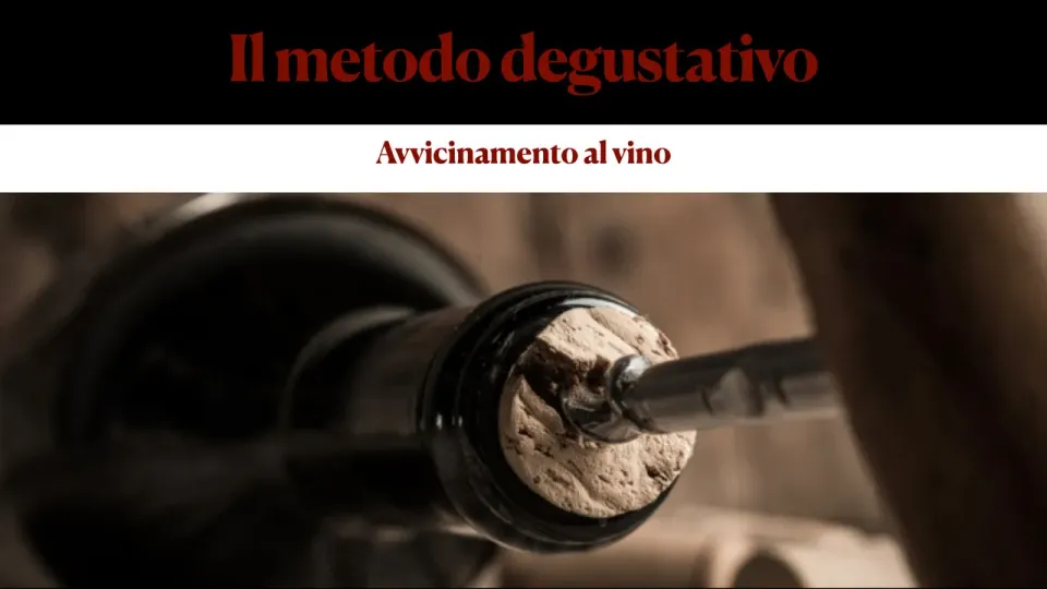 Tenuta La Macchia Il metodo degustativo videocorso degustazione