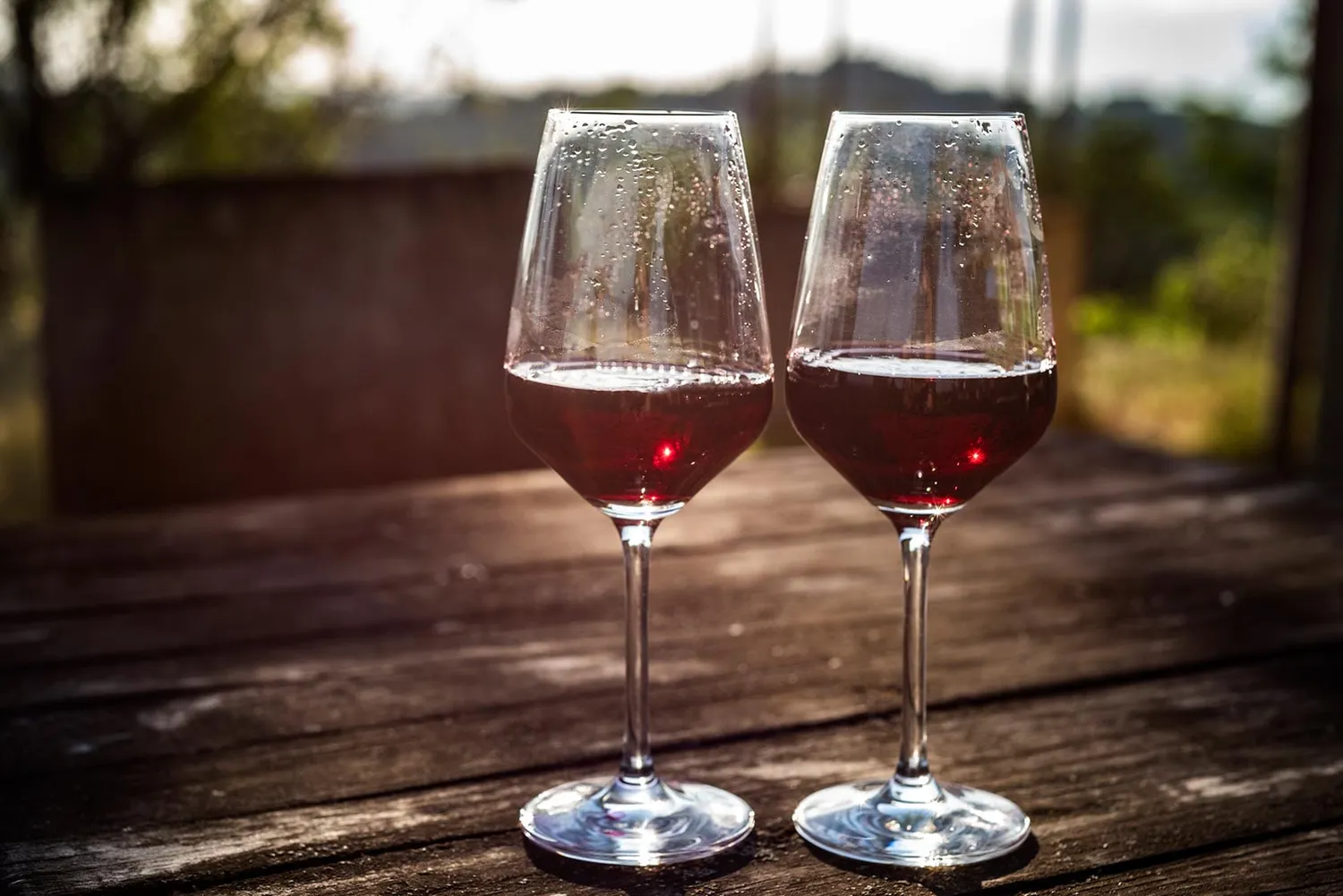 Vinchio Vaglio Experience degustazione in cantina
