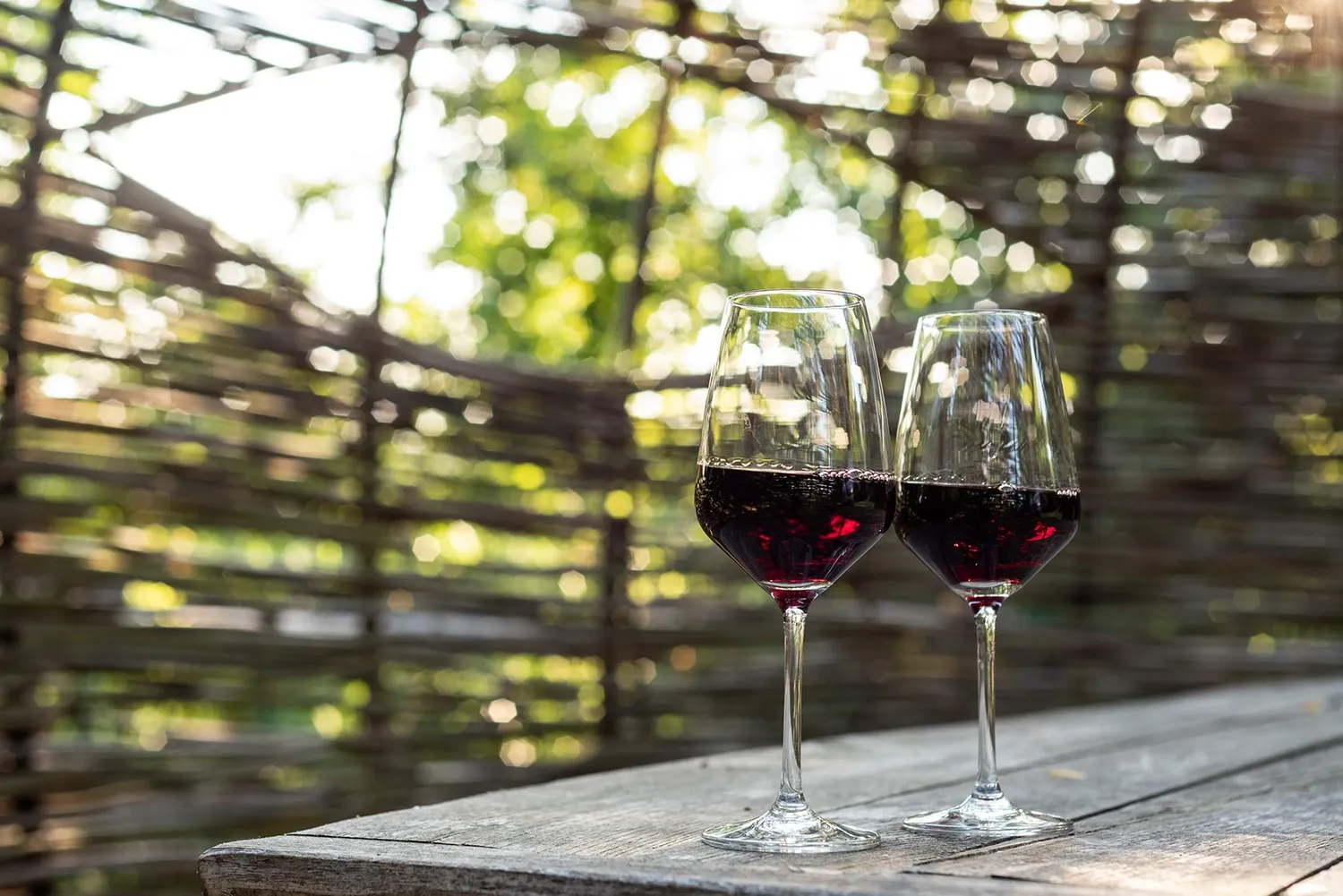 Vinchio Vaglio Barbera Flight degustazione Barbera