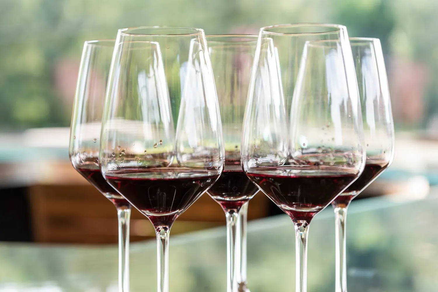 Vinchio Vaglio Barbera Flight degustazione Barbera