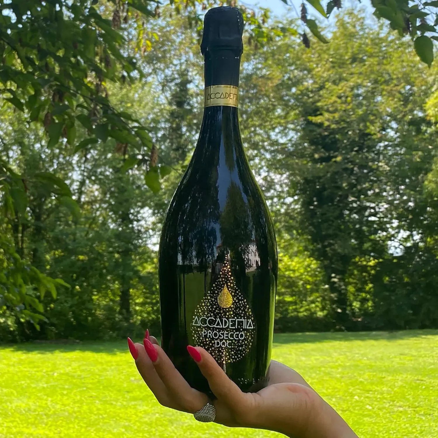 Bottega Accademia Black Prosecco DOC Spumante Brut 750ml