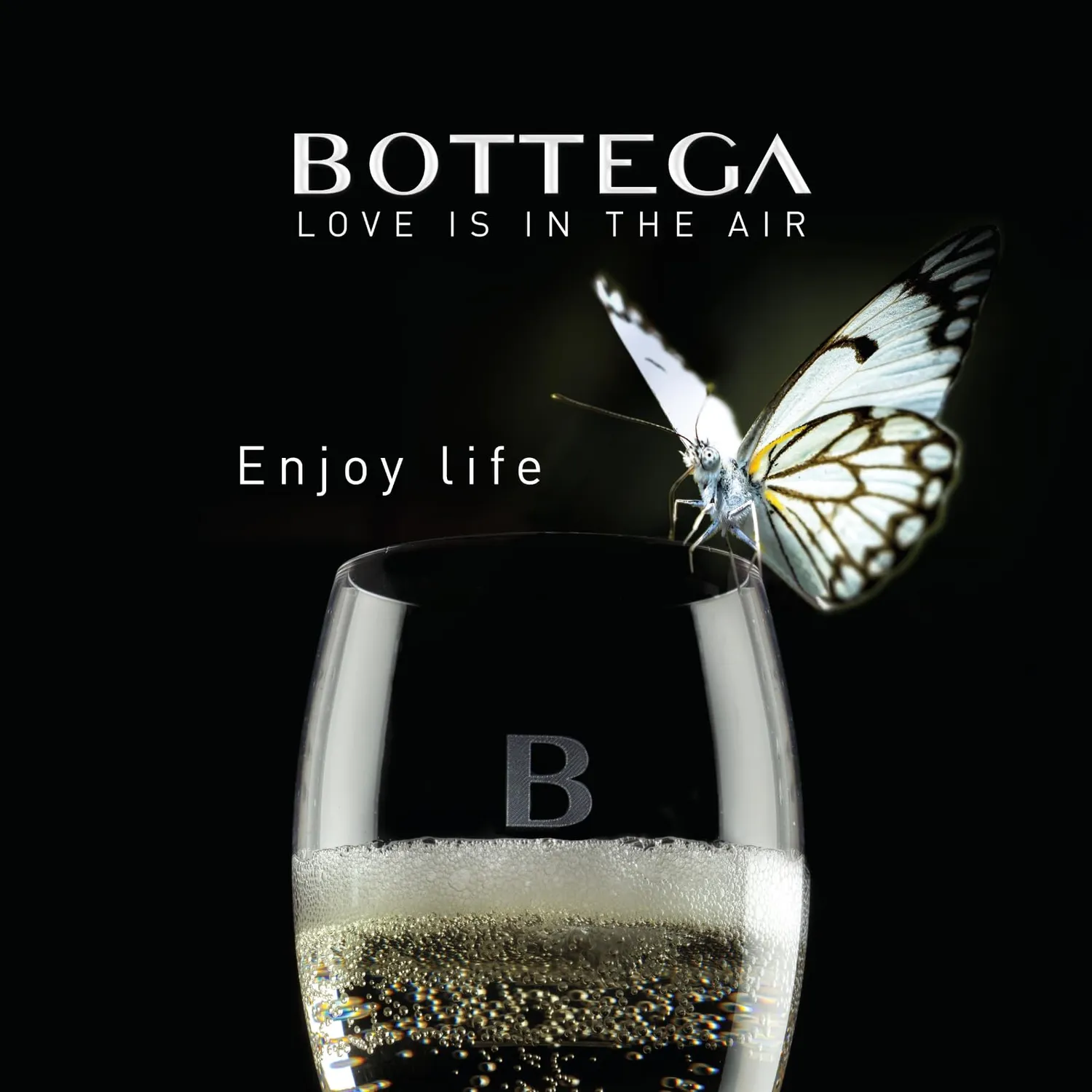 Bottega Sparkling Life 0 rosé analcolico 3x750 ml