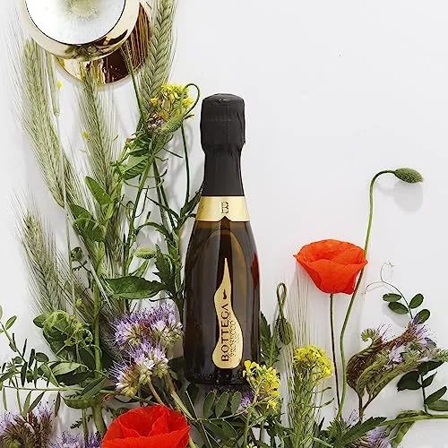 Bottega Il Vino dei Poeti Prosecco DOC brut mignon 6x200 ml