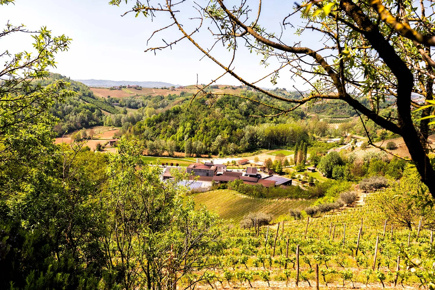 Vinchio Vaglio Cantine Aperte picnic biglietto 30/05/21