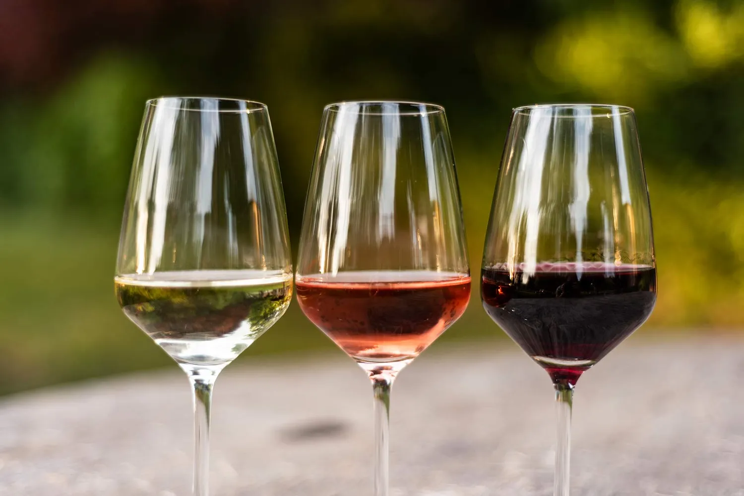 Vinchio Vaglio Indigenous Grapes degustazione vitigni