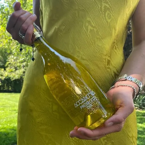 Bottega Accademia Yellow prosecco DOC brut 750 ml
