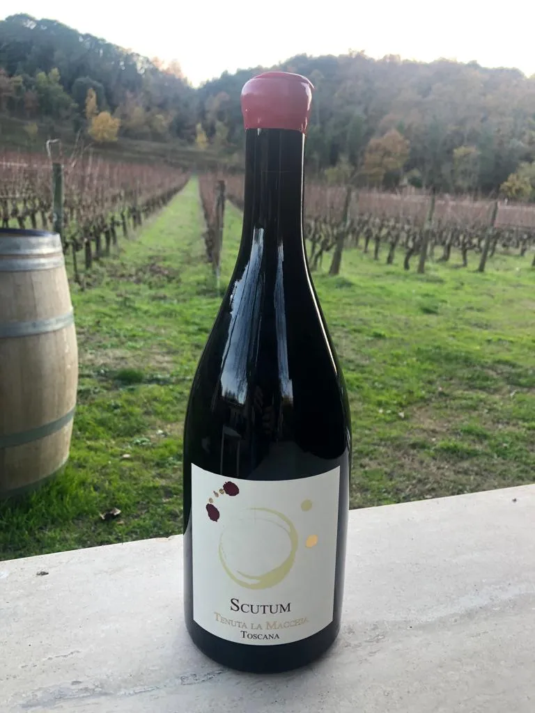 Tenuta La Macchia Scutum Vino Rosso Toscana Magnum 1,5 L IGT
