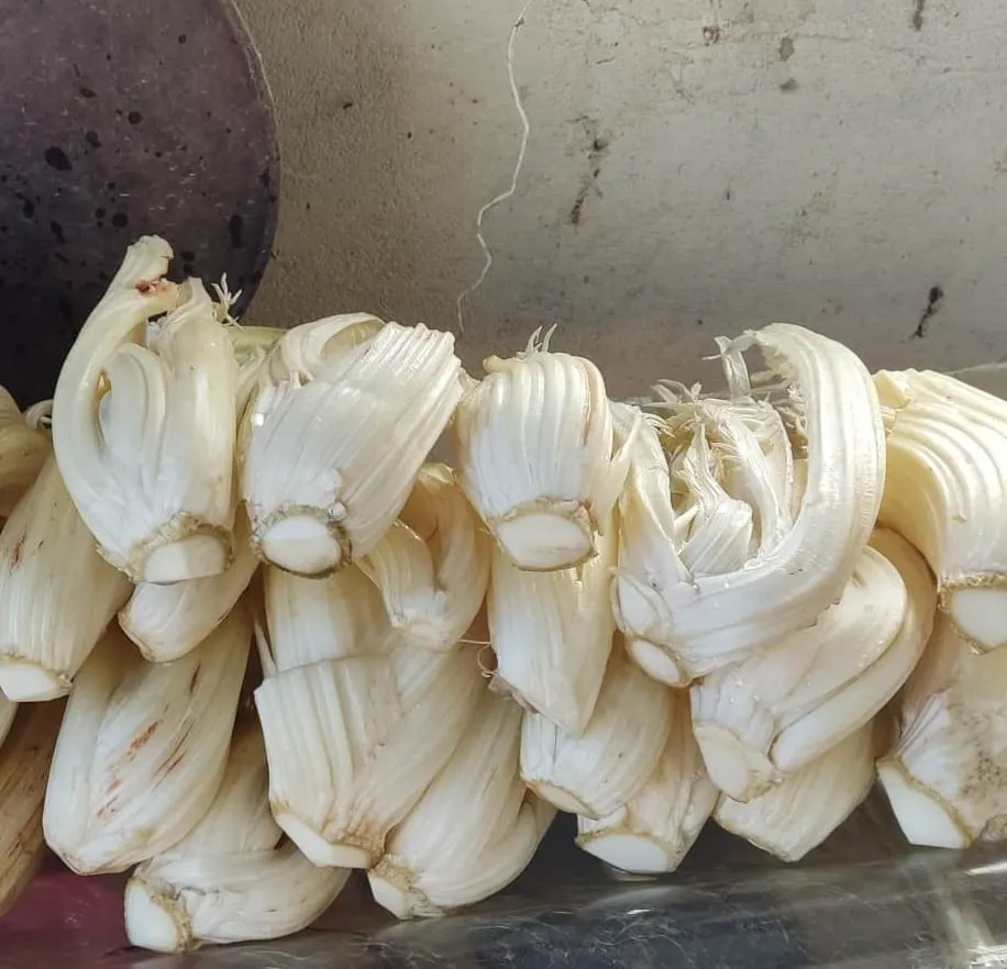 Bagna Cauda Day cena Vinchio Vaglio 22/11/24