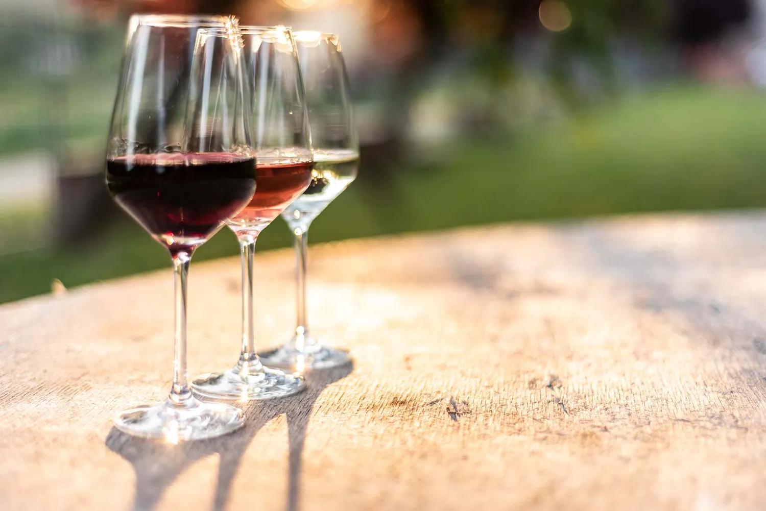 Vinchio Vaglio scoperta cantina degustazione vini evento