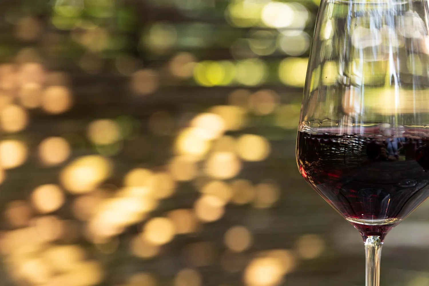 Vinchio Vaglio scoperta cantina degustazione vini evento