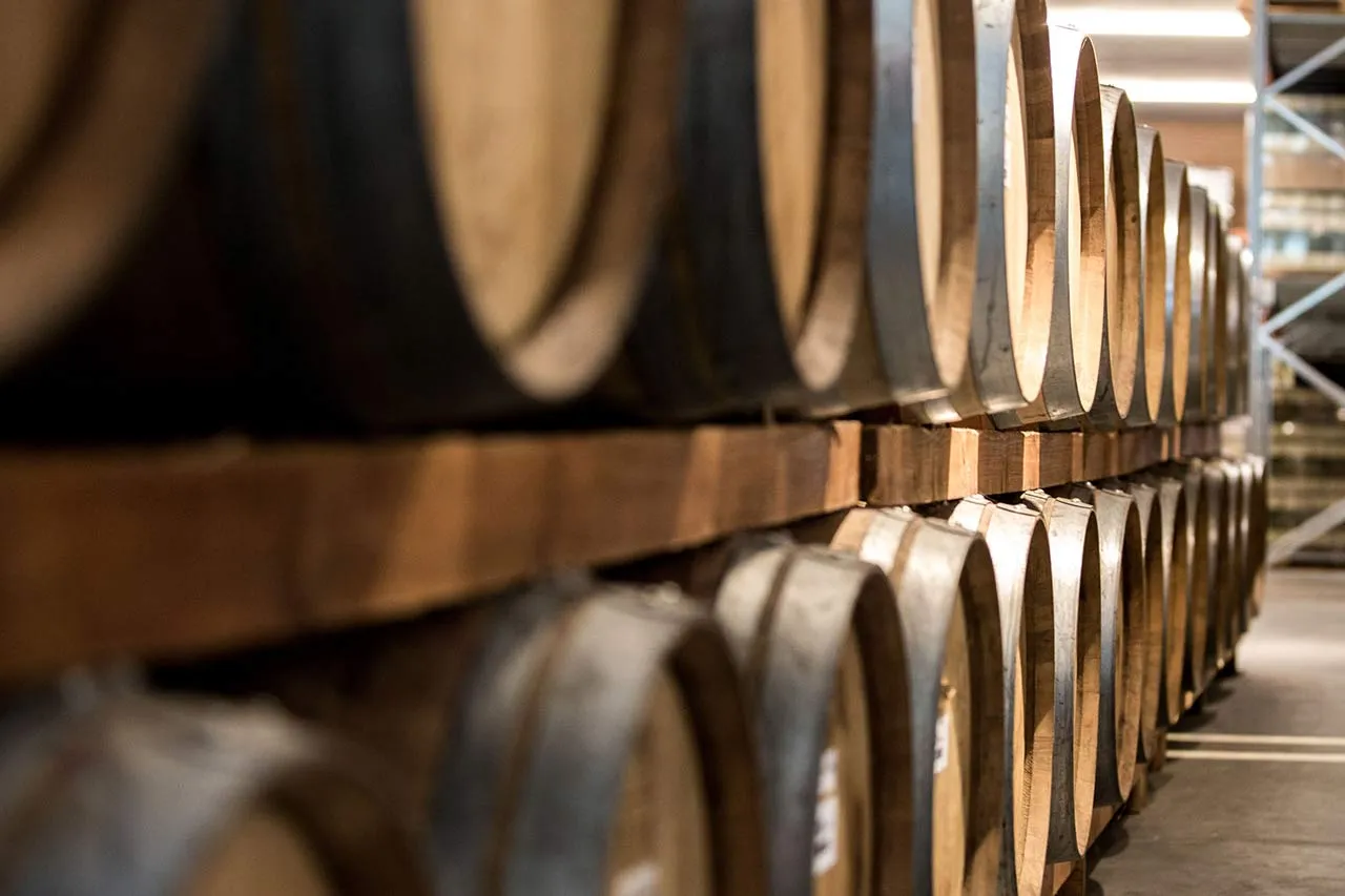 Vinchio Vaglio scoperta cantina degustazione vini evento