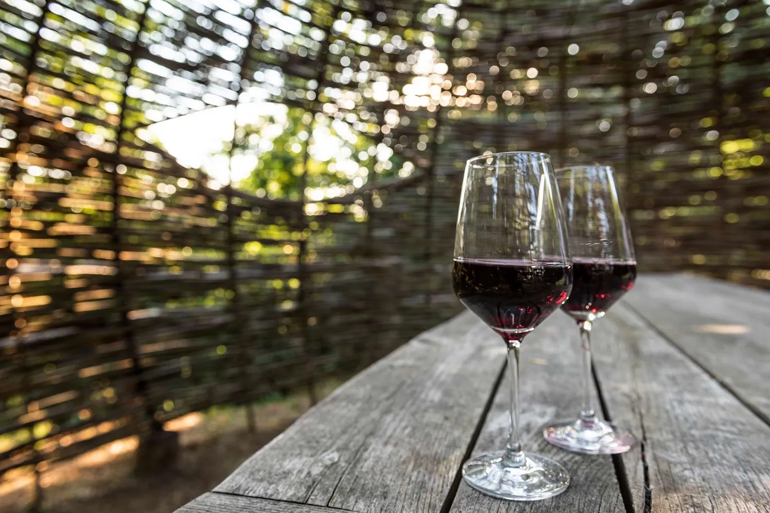 Vinchio Vaglio Barbera Flight degustazione Barbera