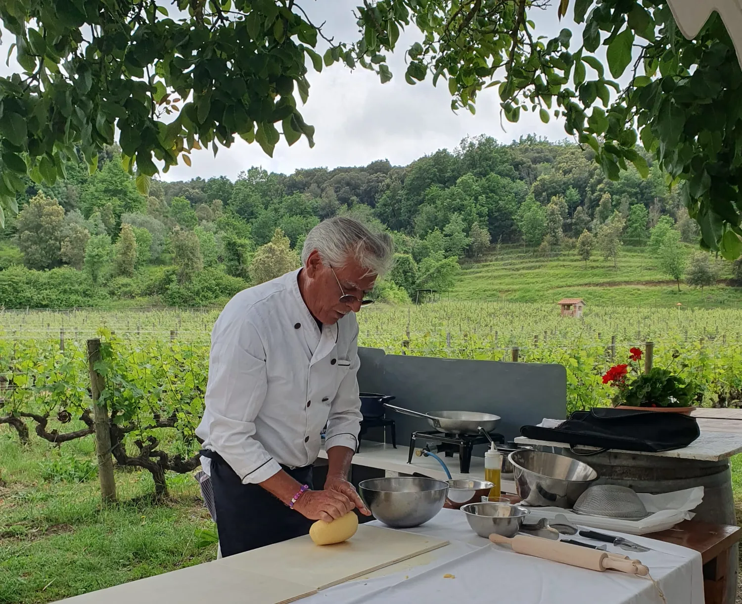 Tenuta La Macchia Pranzo in Vigna Esperienza con Vino