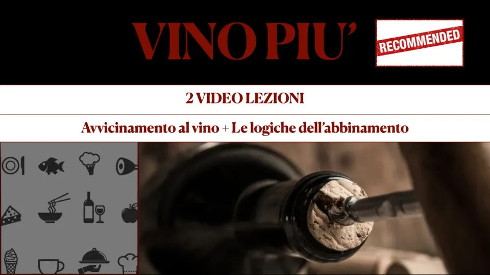 Tenuta La Macchia Vinopiù videocorso degustazione+abbinamento